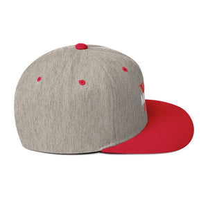 MyVybz Snapback Hat dual color Light gray/Red